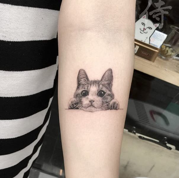 tatuaje gato cara